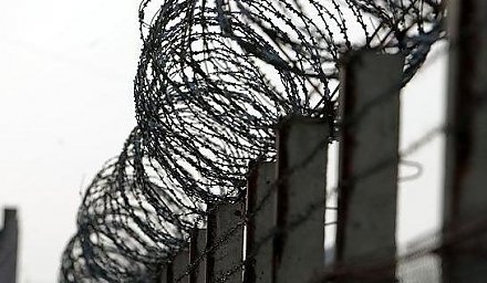 В Беларуси упрощаются условия ведения охотничьего хозяйства и охоты