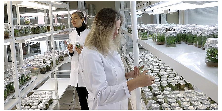 Около 500 исследователей примут участие в конгрессе молодых ученых Беларуси и России