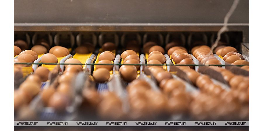 В Беларуси в январе-мае произвели сельхозпродукции на Br6,7 млрд