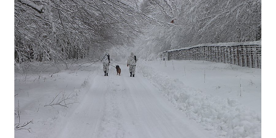Силовики Латвии выбросили на границе двух избитых беженцев