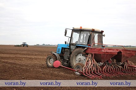 Вороновский район — в лидерах по севу озимых культур среди сельхозпредприятий Гродненщины