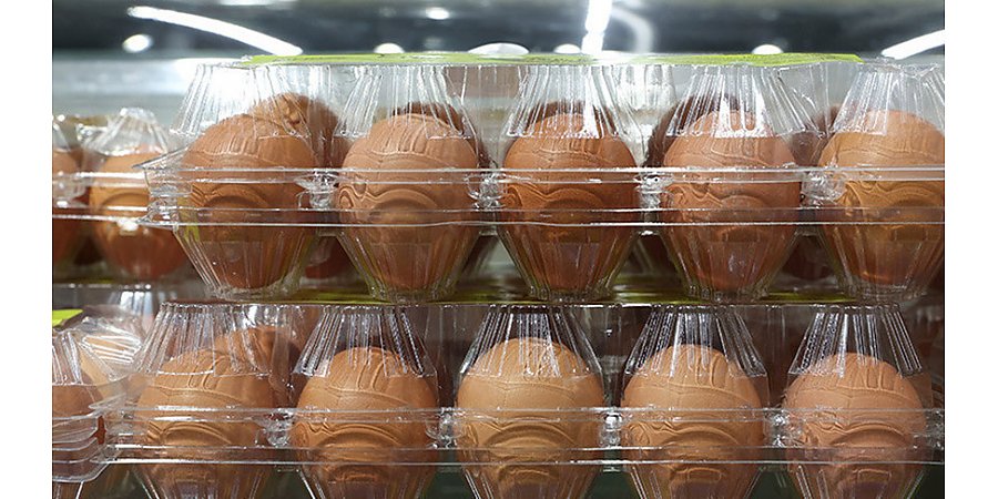 Минсельхозпрод: объемы производства яиц в Беларуси позволяют поставлять 25-30% на экспорт
