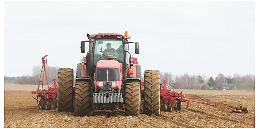 Сев озимых зерновых в Беларуси проведен более чем на 80% площадей