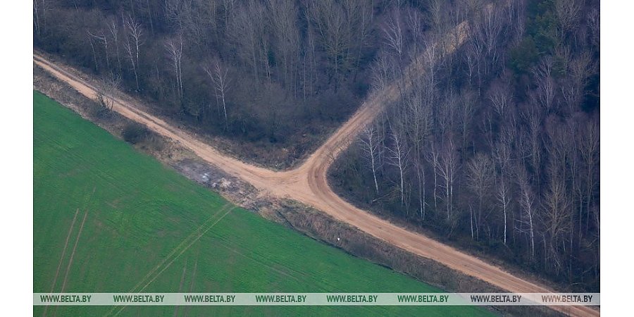 В Украине на 40% сократили площади под озимые зерновые