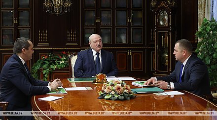"Восстановили утраченное в бытность СССР" - Лукашенко оценил развитие лесного хозяйства в Беларуси