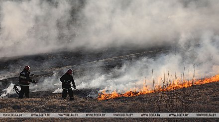 В Беларуси спасатели за сутки потушили 86 пожаров травы и кустарников