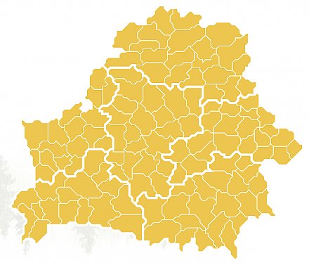 Ограничения на посещение лесов действуют во всех районах Беларуси