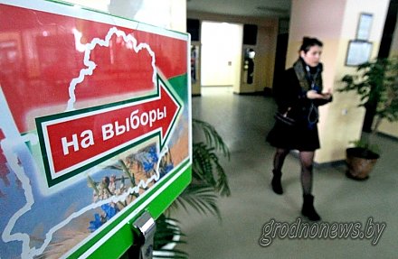 В местные Советы депутатов в Беларуси избрано 18110 депутатов