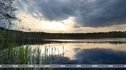 Не трогайте пауков: народные приметы на 3 июля 2026