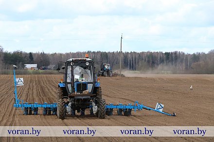 Аграрии сельхозпредприятия «Гирки» первыми на Вороновщине приступили к севу сахарной свеклы 