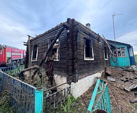В Вороновском районе на пожаре погибли братья