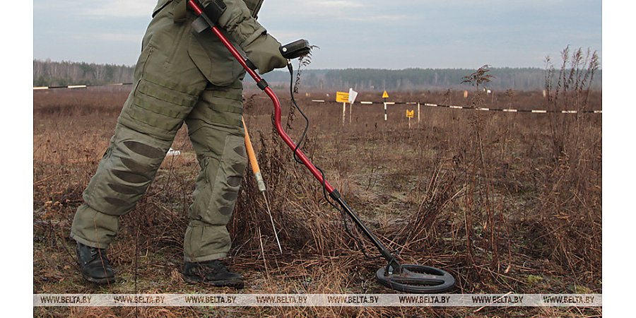 Польский эксперт заявил о вреде противопехотных мин на границе с Беларусью и Россией