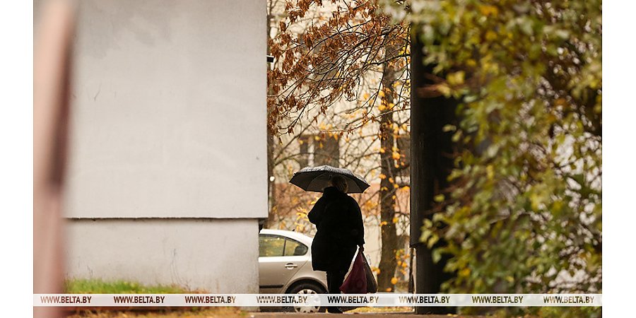 Небольшие дожди и до +13°С. Синоптики рассказали о погоде в Беларуси 1 ноября