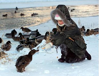 Забота с умом: почему важно не кормить водоплавающих птиц в городской среде?