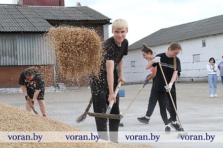 Лето по-взрослому. Как вороновские школьники получают первый рабочий опыт