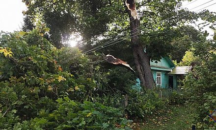 На Гродненщине ликвидированы последствия урагана – в 275 деревнях временно отсутствовало электроснабжение