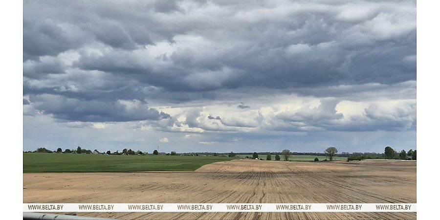 Дождливая погода с грозами ожидается сегодня в Беларуси