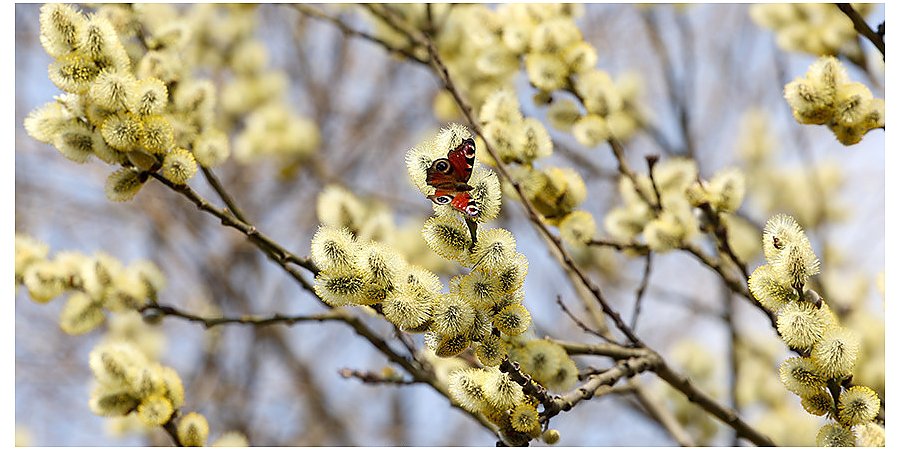 Когда в Беларусь придет настоящее тепло? Прогноз на неделю 27 апреля – 3 мая от Дмитрия Рябова