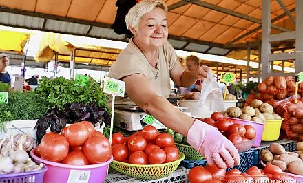 Облагается ли налогом доход от продажи овощей со своего огорода, разъясняем нюансы законодательства