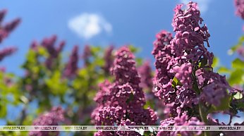 До +25°С. Какой будет погода в Беларуси в понедельник