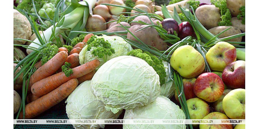 МАРТ установил предельные розничные цены на плодоовощную продукцию по госзаказу