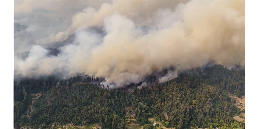 Мощные лесные пожары в Аргентине охватили более 2 тыс. га, к тушению привлечены самолеты 