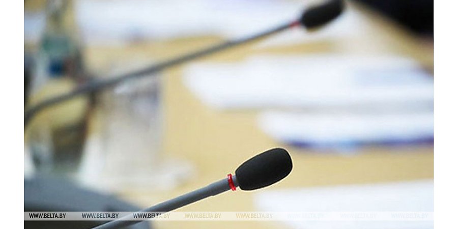 В СНГ планируется принять заявление глав государств о защите избирательных прав граждан