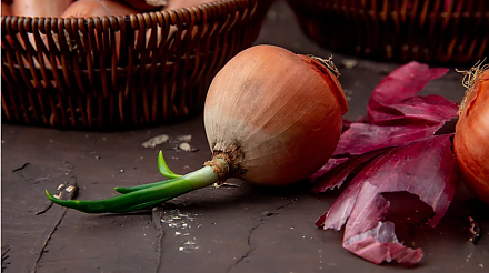 Народные приметы на 17 сентября: что можно и нельзя делать в этот день