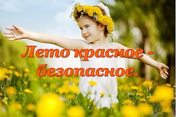 Лето без происшествий