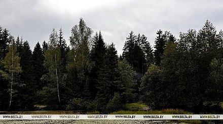 Дожди и до +27°С. Чего ждать от погоды сегодня