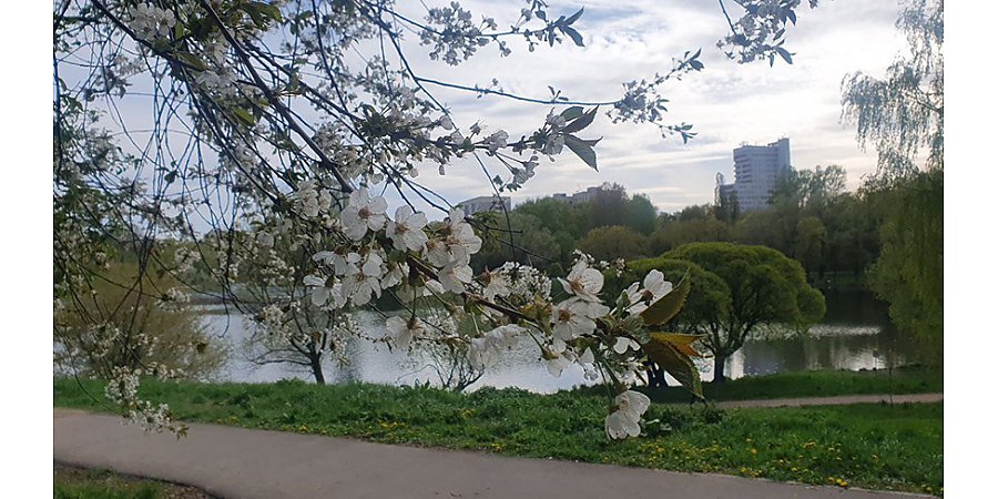 Дожди, грозы и мокрый снег. Синоптики не обнадежили весенним прогнозом на ближайшую неделю