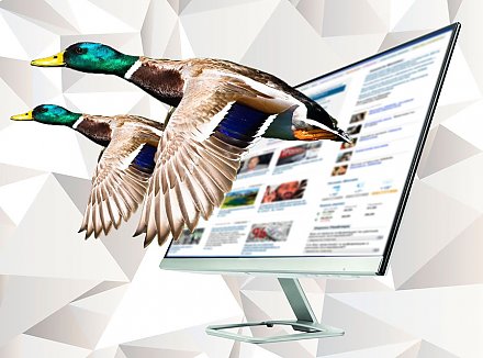 Non testatum, или Откуда в медийный поток прилетают «утки»