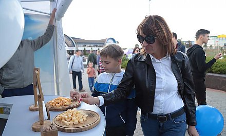 Народная дегустация на Фестивале сыра определила фаворитов вкуса