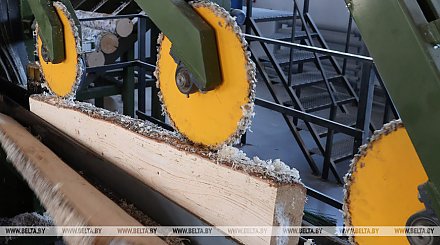 В Эстонии массово увольняют работников деревообрабатывающей промышленности
