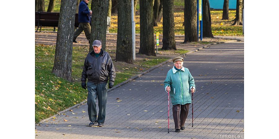 Ценный ресурс. Статистический обзор к Международному дню пожилых людей