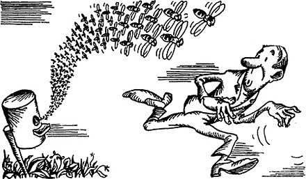 Ульи раздора, или Неправильные соседские пчелы