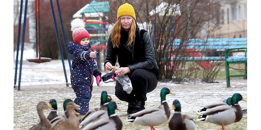 С 1 февраля повышаются размеры государственных пособий семьям, воспитывающим детей, все виды пенсий и БПМ