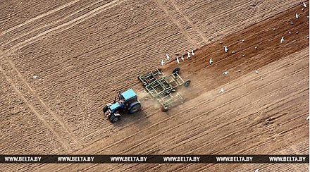 Аграрии Гродненской области планируют начать сев в середине марта