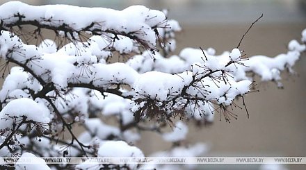 Снег и до -13°С ожидается в Беларуси 8 февраля