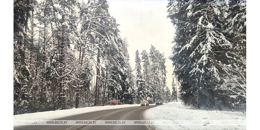 На дорогах гололедица, местами туман. Синоптики о погоде в Беларуси сегодня