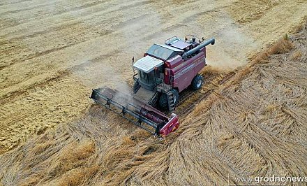 Урожай-2020: собрано более 4 млн тонн зерна