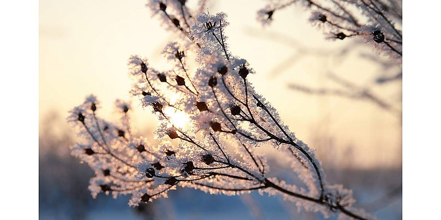 Гололедица, небольшой снег и до -11°С будет в Беларуси 19 февраля