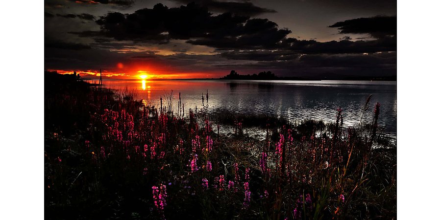 Народный календарь на 30 июля: что можно и нельзя делать, приметы и праздники