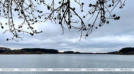 Где в Беларуси сегодня будет теплее всего, рассказали синоптики