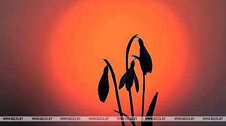 Магнитная буря класса G2 началась в субботу на Земле