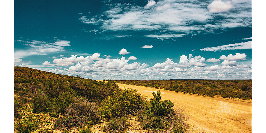 ООН призывает оказать гуманитарную помощь Замбии для борьбы с последствиями засухи