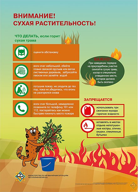 МЧС предупреждает об опасности выжигания сухой растительности