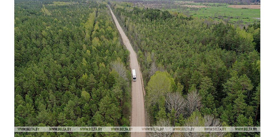 В Беларуси легализуют "параллельный импорт"