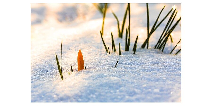 Народный календарь на 3 марта 2025: что можно и нельзя делать, приметы и праздники