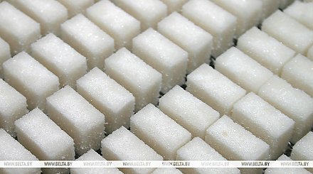 Сахар с перцем, халва со вкусом шкварок. Чем удивит "Белгоспищепром" на PRODEXPO-2025 в Минске 